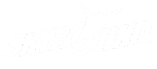 Skybound_Entertainment_Logo 1